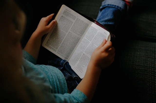 6 иллюстрированных книг, которые помогут новичкам в изучении английского почувствовать себя увереннее